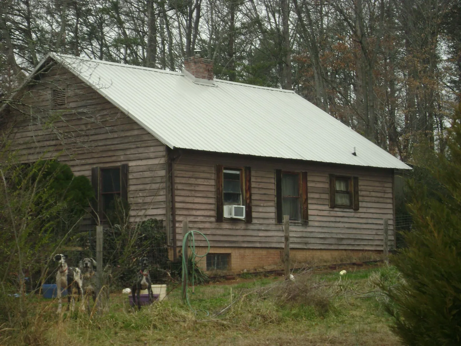 White metal roof on an old wood sided farmhouse, from a Metal Roof Installation job in Rex